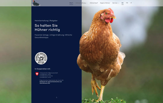 www.huehnerrichtighalten.ch